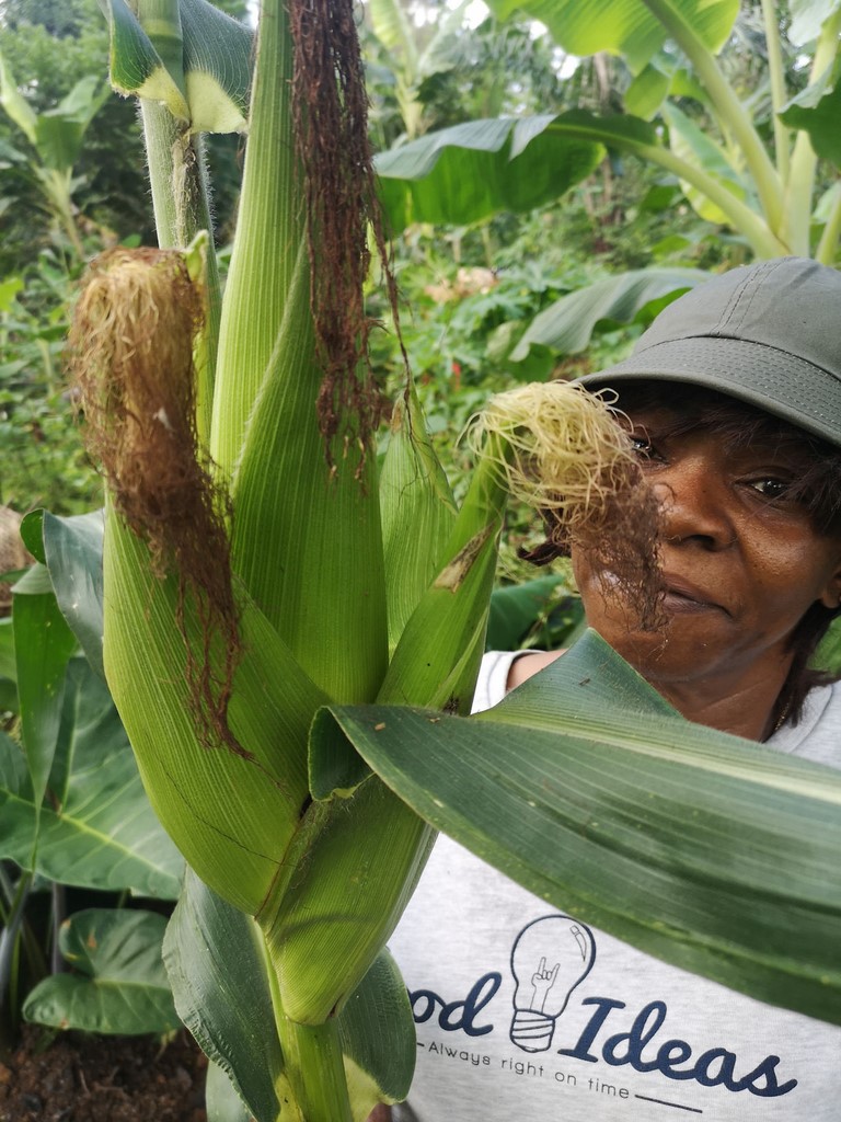 La Ferme De Léo, Plantation 2021