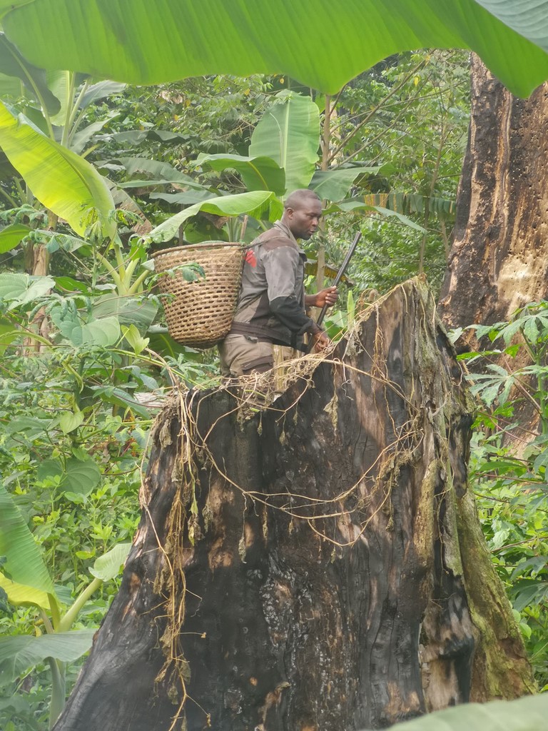 La Ferme De Léo, Plantation 2021