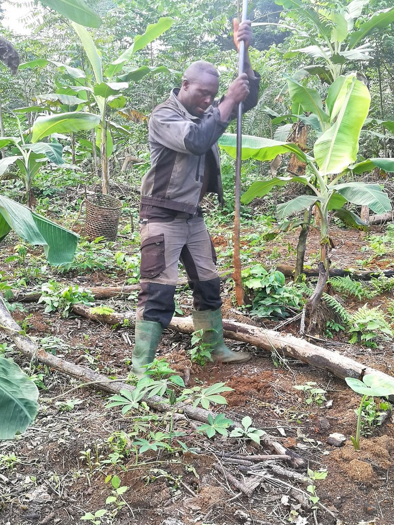 La Ferme De Léo, Plantation 2021