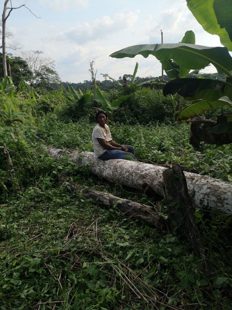 La Ferme De Léo, Plantation 2021