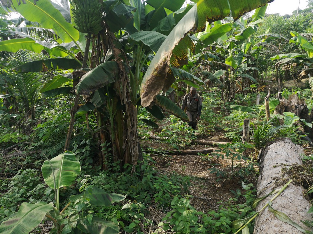 La Ferme De Léo, Plantation 2021