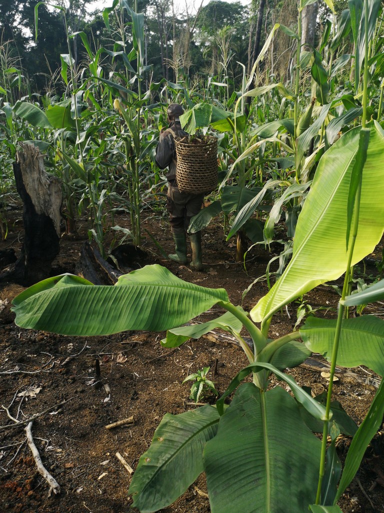 La Ferme De Léo, Plantation 2021