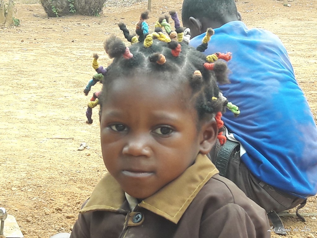 LFDL 2020-École De Nkolnyama-Sensibilisation À L'environnement