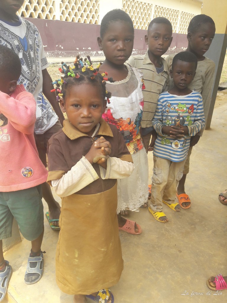 LFDL-Bénévoles 2020-École De Nkolnyama Remise De Dons