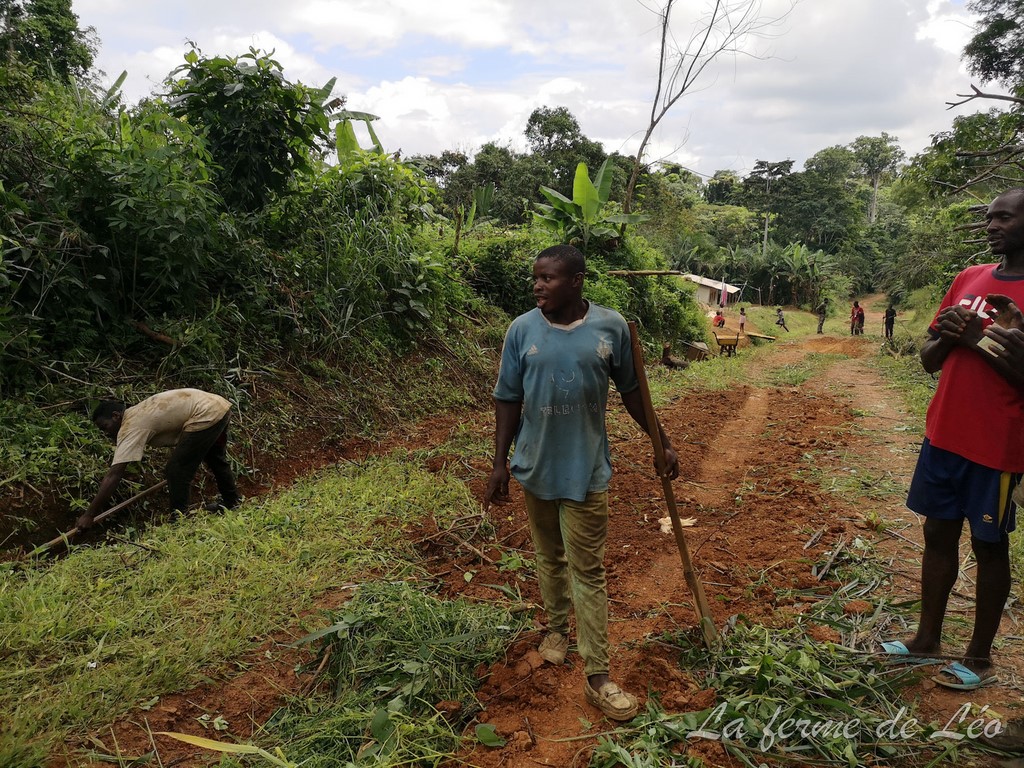 Les jeunes de Nkolnyama en action sociale-La ferme de Léo Cameroun 2020