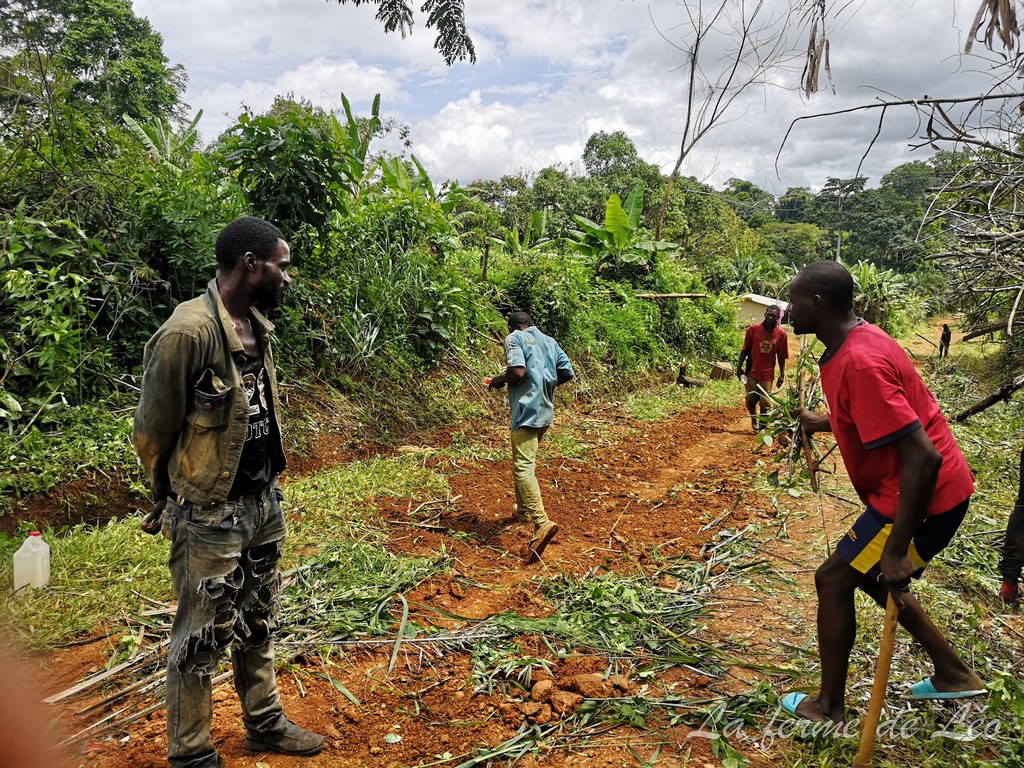 Les jeunes de Nkolnyama en action sociale-La ferme de Léo Cameroun 2020
