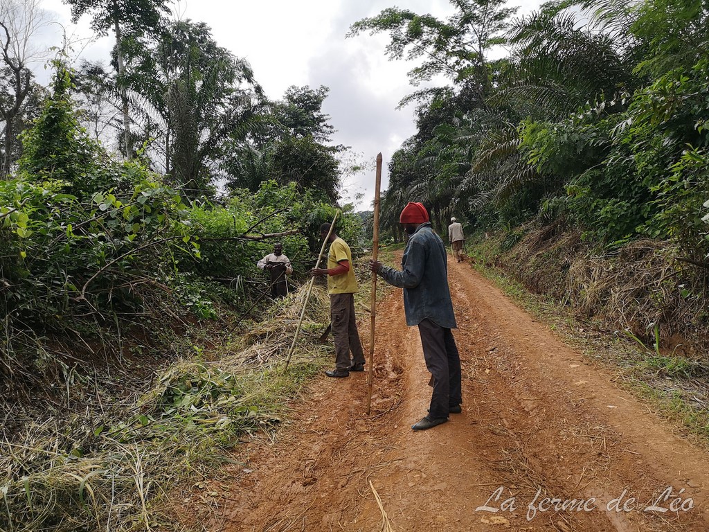 Les jeunes de Nkolnyama en action sociale-La ferme de Léo Cameroun 2020
