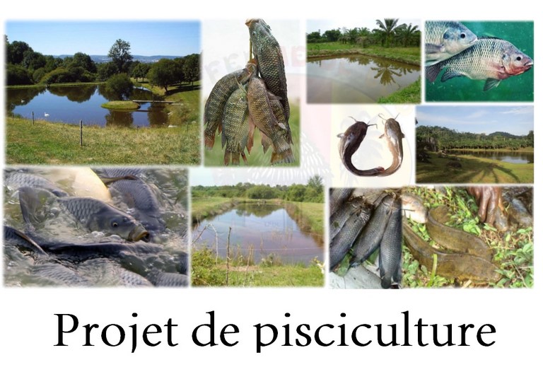 La ferme de Léo, projet de pisciculture
