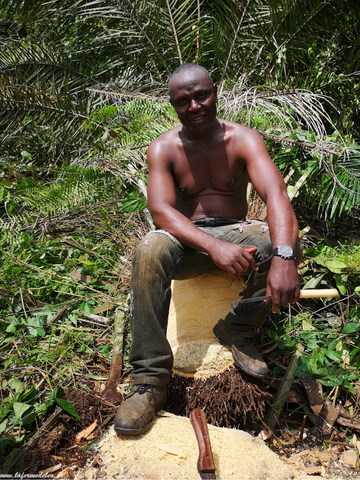 La ferme de Léo-LFDL-Cameroun,Nkoumadzap,