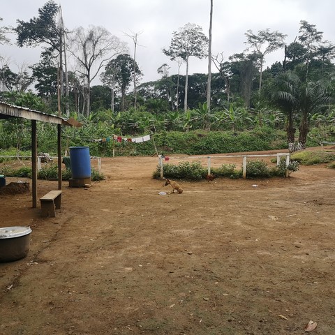 La ferme de Léo-site