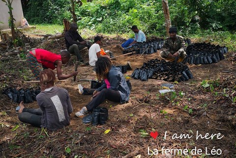 La ferme de Léo-LFDL-Cameroun,Nkoumadzap,