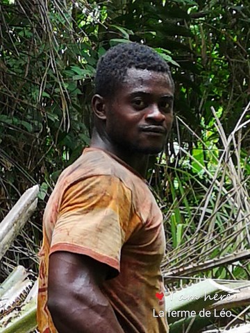 La ferme de Léo-LFDL-Cameroun,Nkoumadzap,