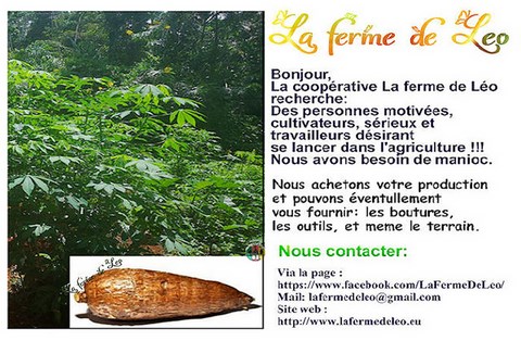 La ferme de Léo-LFDL-Cameroun,Nkoumadzap,