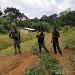 Les jeunes de Nkolnyama en action sociale-La ferme de Léo Cameroun 2020
